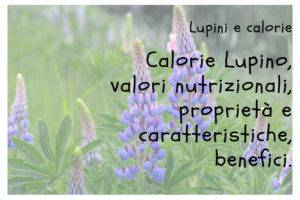 Calorie Lupini